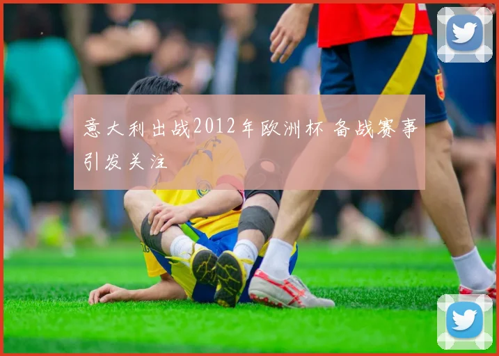 意大利出战2012年欧洲杯 备战赛事引发关注
