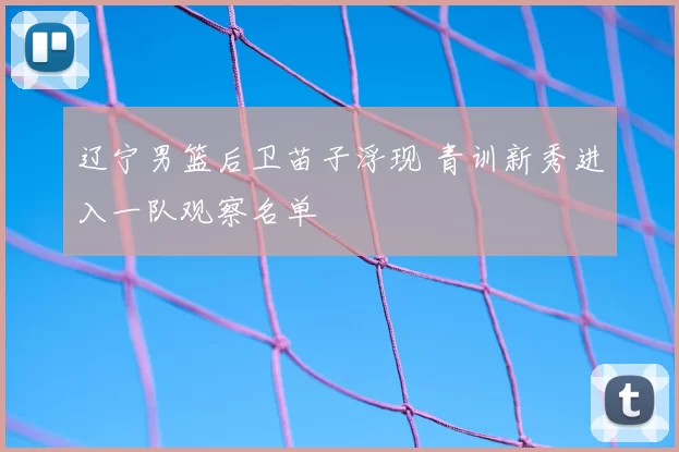 辽宁男篮后卫苗子浮现 青训新秀进入一队观察名单