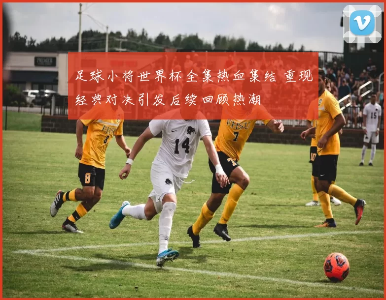 足球小将世界杯全集热血集结 重现经典对决引发后续回顾热潮