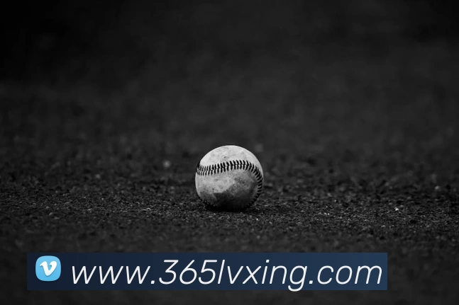 乐竞官网平台 - 乐竞(中国)一站式服务平台平台生态图