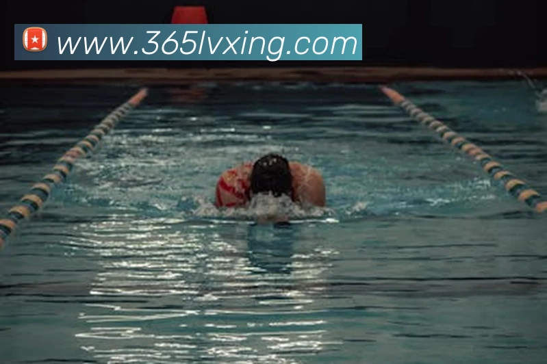 辅助工具 辅助工具